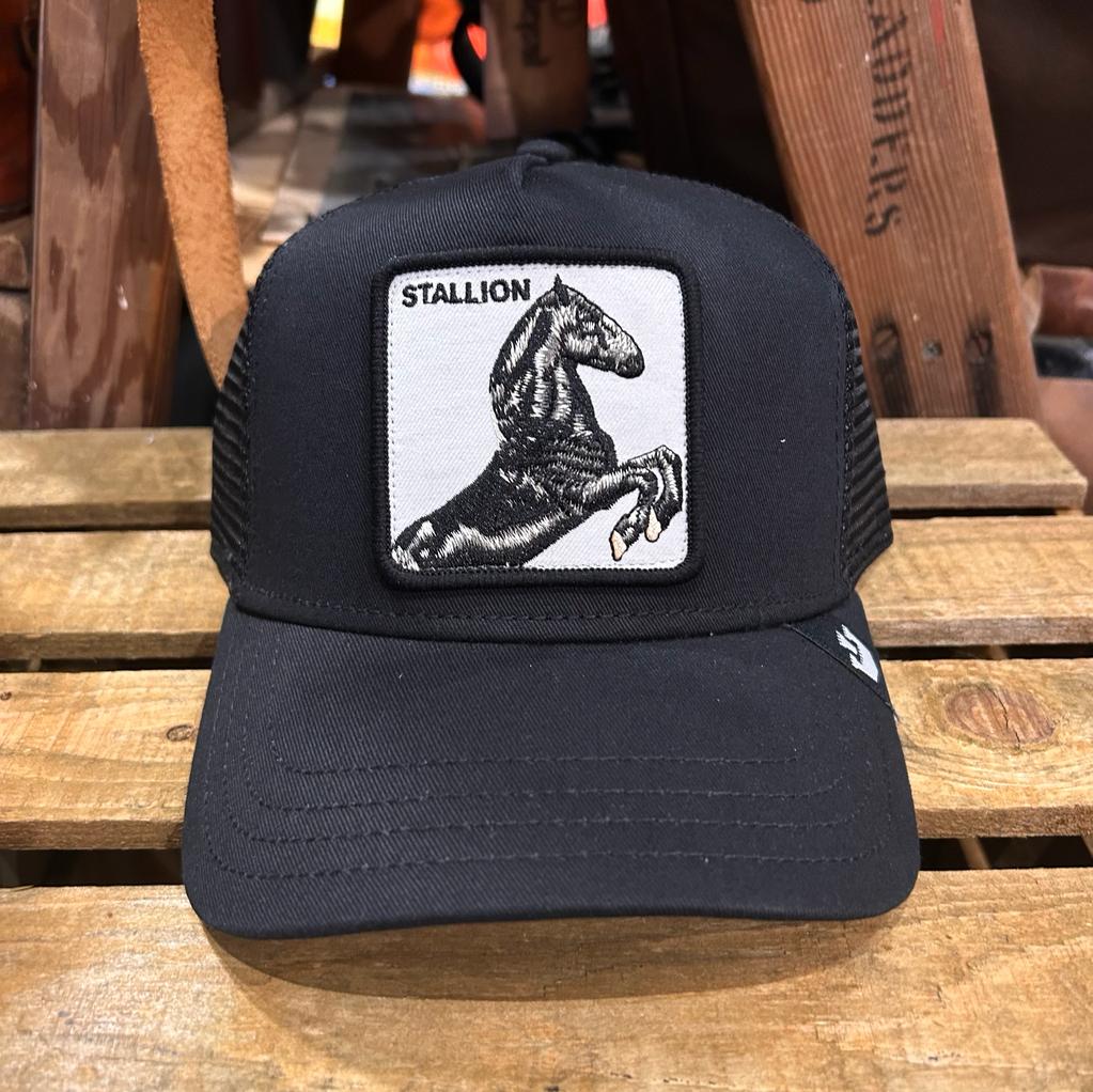 Goorin Bothers Cap The Stallion